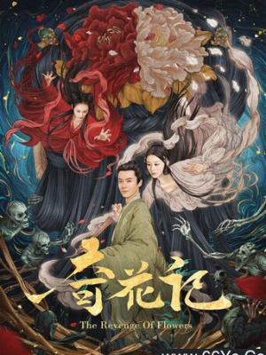 导演特辑